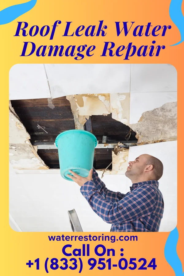 Roof Leak Water Damage Repair in South Gate Ridge, FL