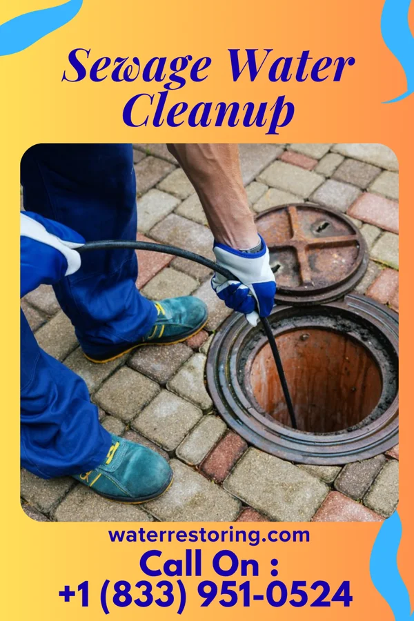 Sewage Water Cleanup in South Gate Ridge, FL